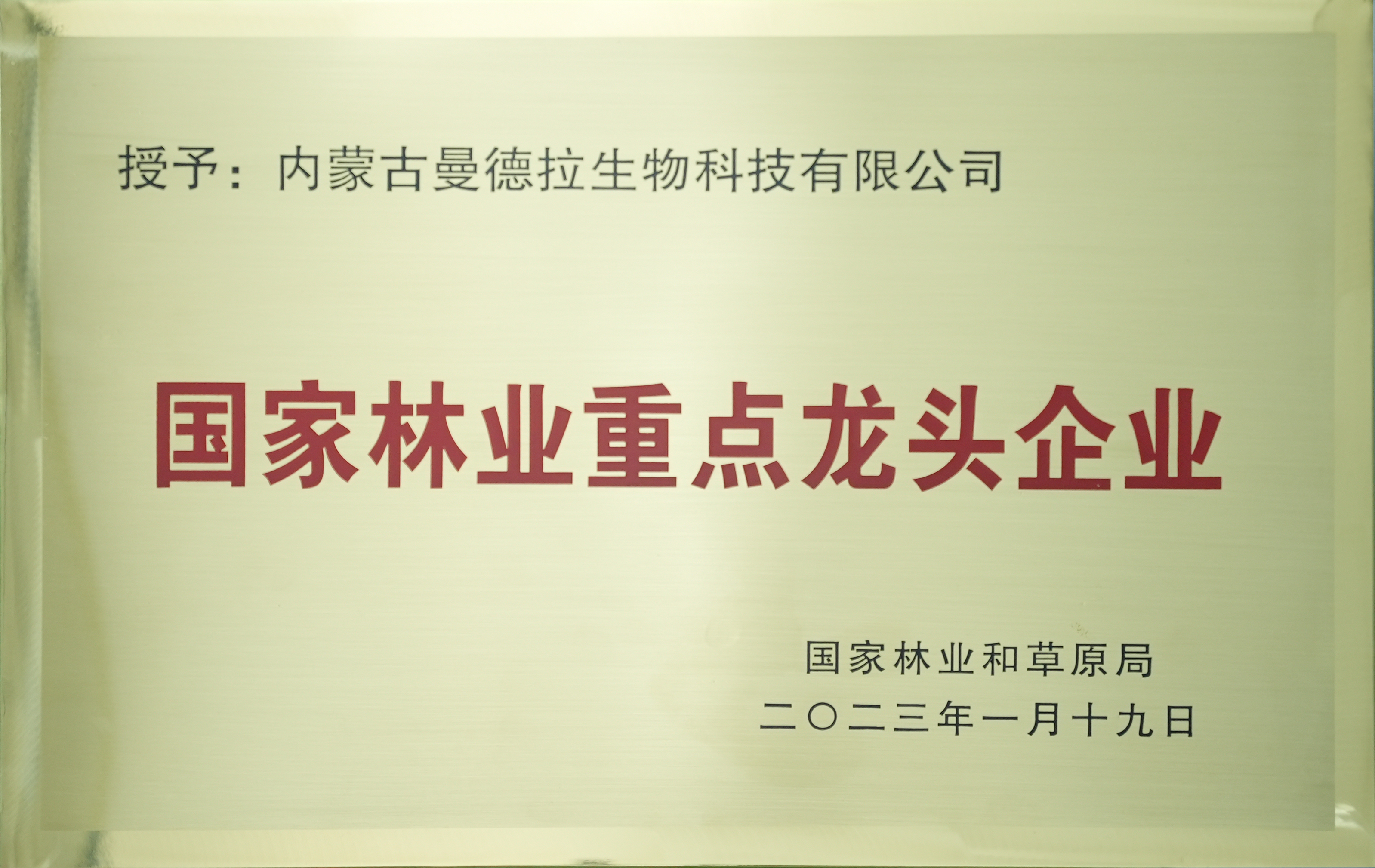 1國家林業(yè)重點龍頭.jpg